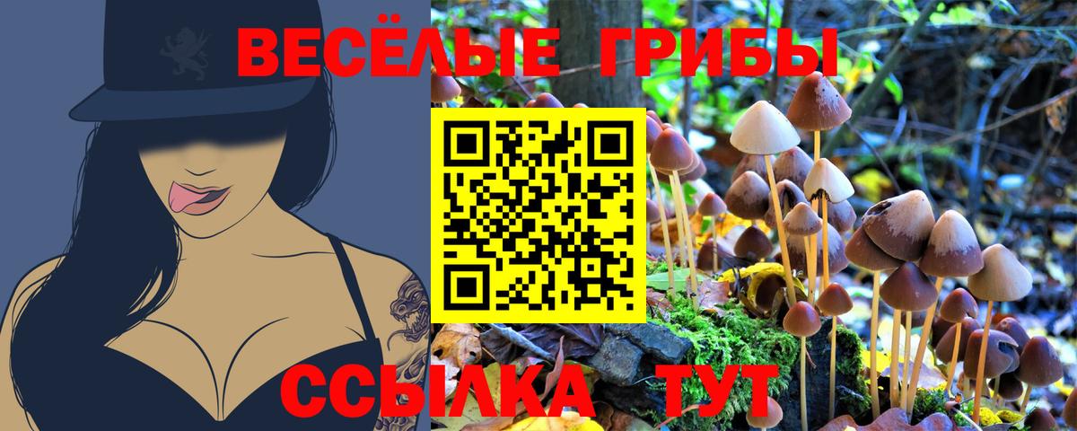 Волгоград  Псилоцибиновые грибы MAGIC MUSHROOMS  закладки  Вход с VPN 